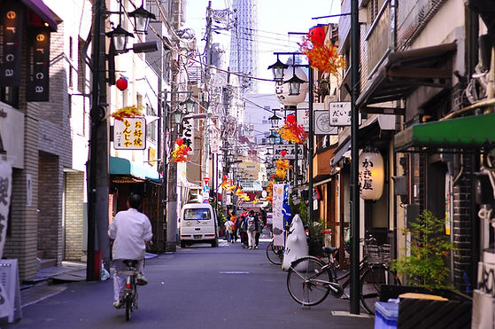 christozavic-japan-3326336_1920.jpg