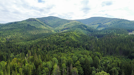 DJI_0967.jpg