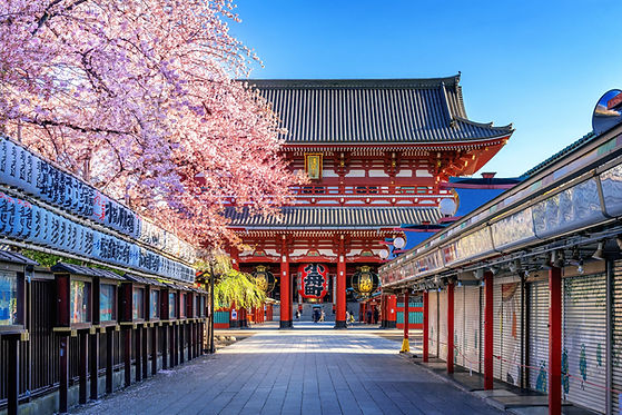 cherry-blossoms-sensoji-temple-asakusa-tokyo-japan (1).jpg