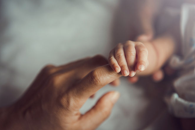 AdobeStock_373461432.jpeg