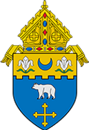 Diocese Crest.webp