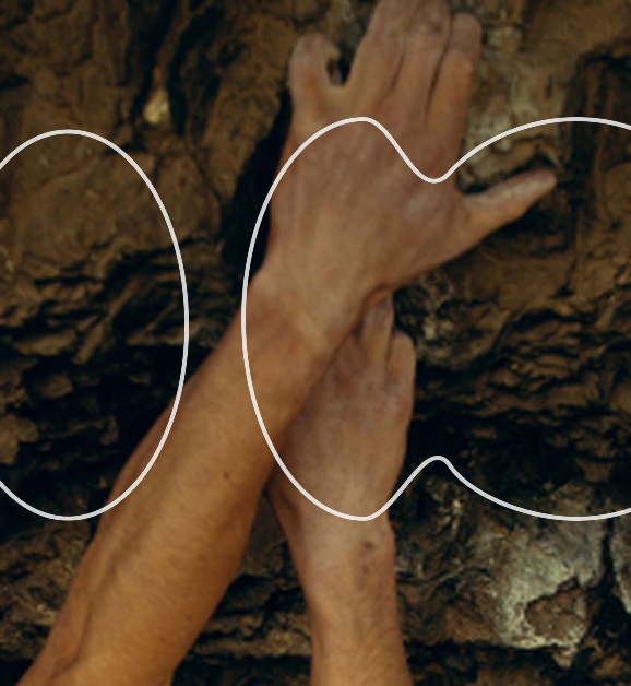 rocks.png
