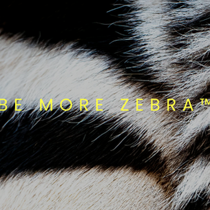 Be More Zebra™ concept image featuring close-up zebra stripes, symbolising brand differentiation, distinctiveness and strategic identity