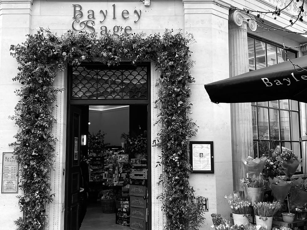 Belgravia-Bayley-Sage.png.webp