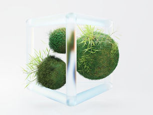 Moss-covered organic forms inside a transparent cube, representing sustainable brand growth and balance