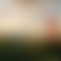 Coloured doors standing in an open landscape, symbolising different growth paths and strategic choices for scaleups navigating complexity and long-term growth.