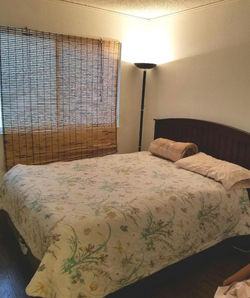 f28ee0d2ae942a2bc33662627a4679e8l-m11xd-w1020_h770_q80