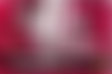 Sprekende Ezels november 2025