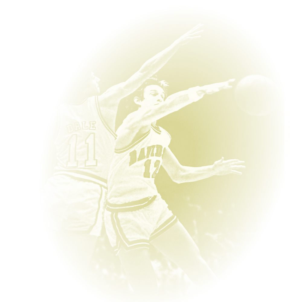 aboutbball.png
