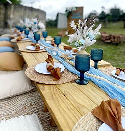 Picnic Blue theme.jpeg