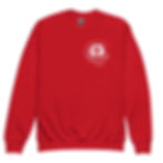 Thumbnail: Youth crewneck sweatshirt with Back Logo