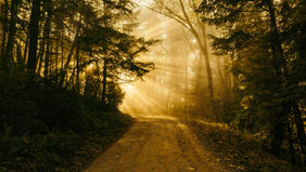 "A New Human Race" (Romans 6:1-5)