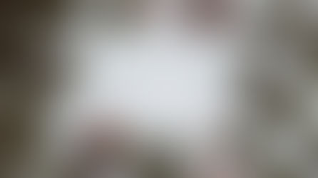 "Peace for Christmas" (Luke 2:13-14)