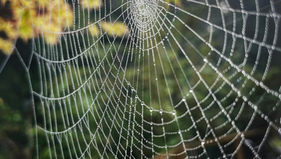 "Encountering Deceivers in this World" (2 John 7-11)