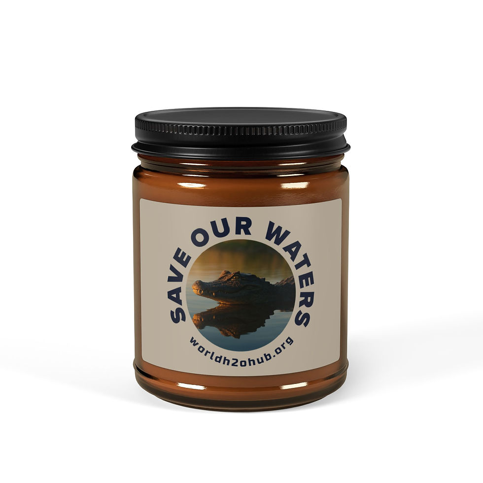 Thumbnail: Caiman | 100% Natural Soy Wax Candle | Environment & Water Conservation