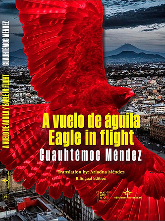 vuelo de aguila.jpg