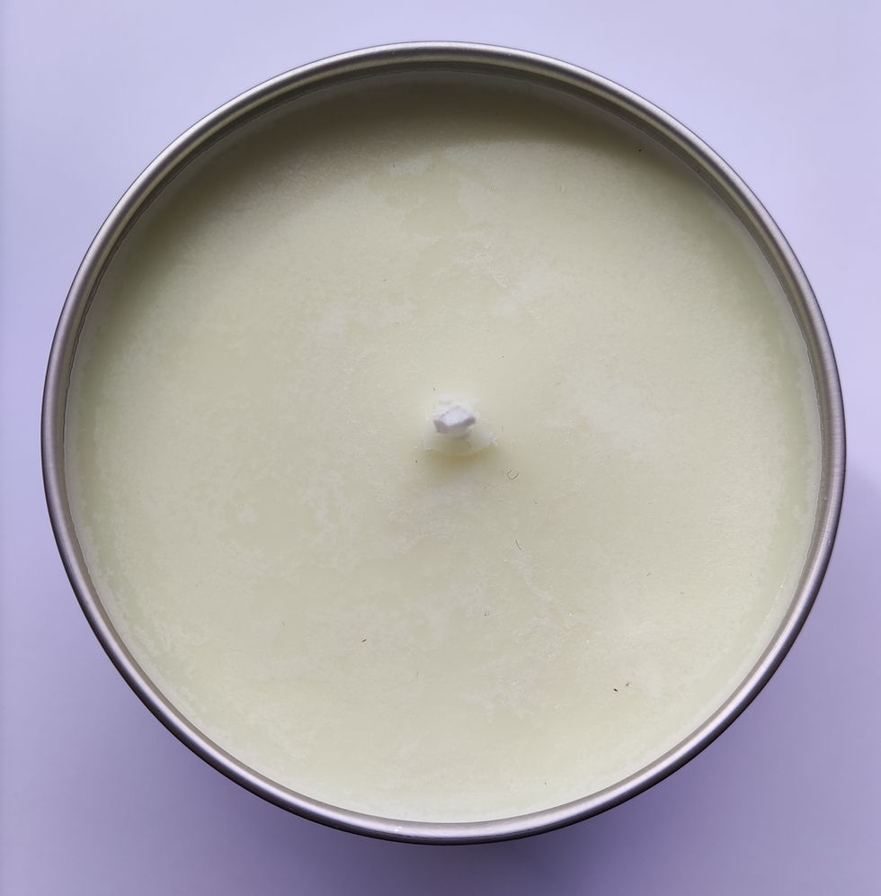 You're my Favourite Asshole. Keep that Shit up – Funny Candle