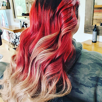 The Hair Shed-3.jpg