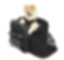 Nelson Rigg Rover Pet Carrier