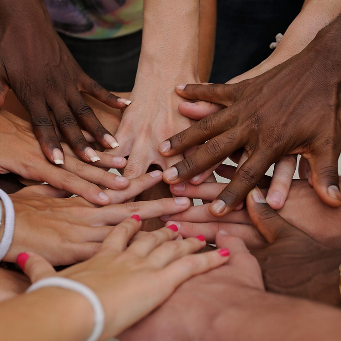 Diversity.png
