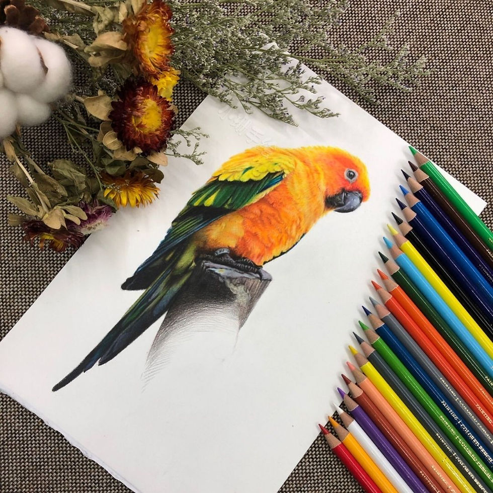 Thumbnail: 24pc Oil Colour Pencils
