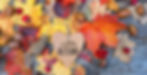 hello autumn. Autumn Background with heart greeting card and leaves on wooden board. fall