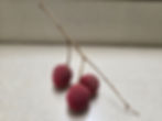LICHI