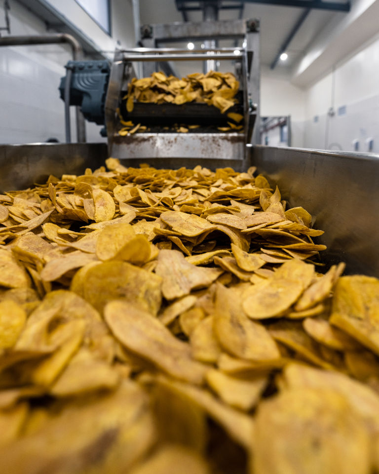 Plantain Strips in production line