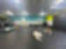 calm dogs at dog daycare