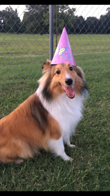 Happy Birthday Ellie!