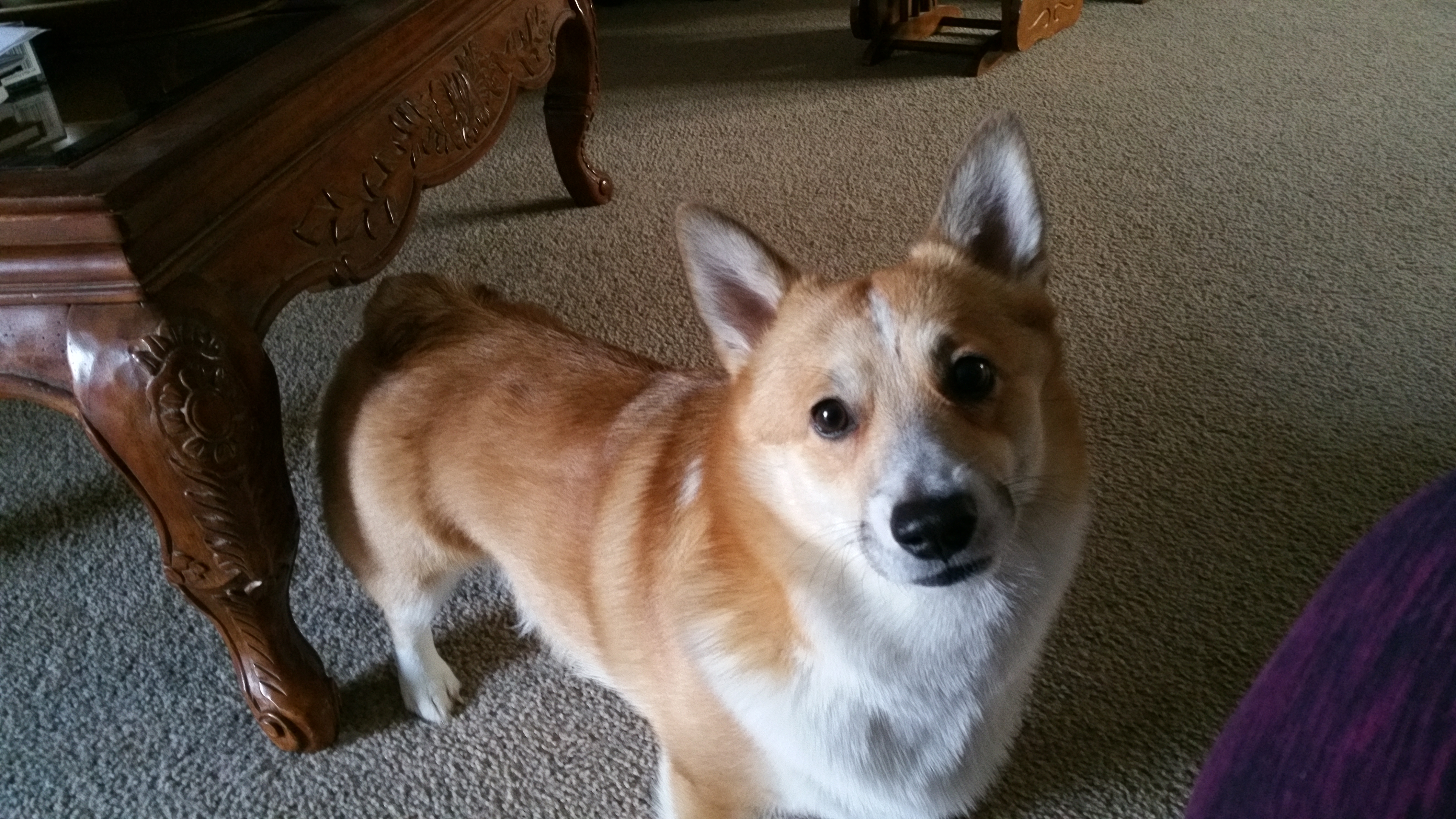 Buster