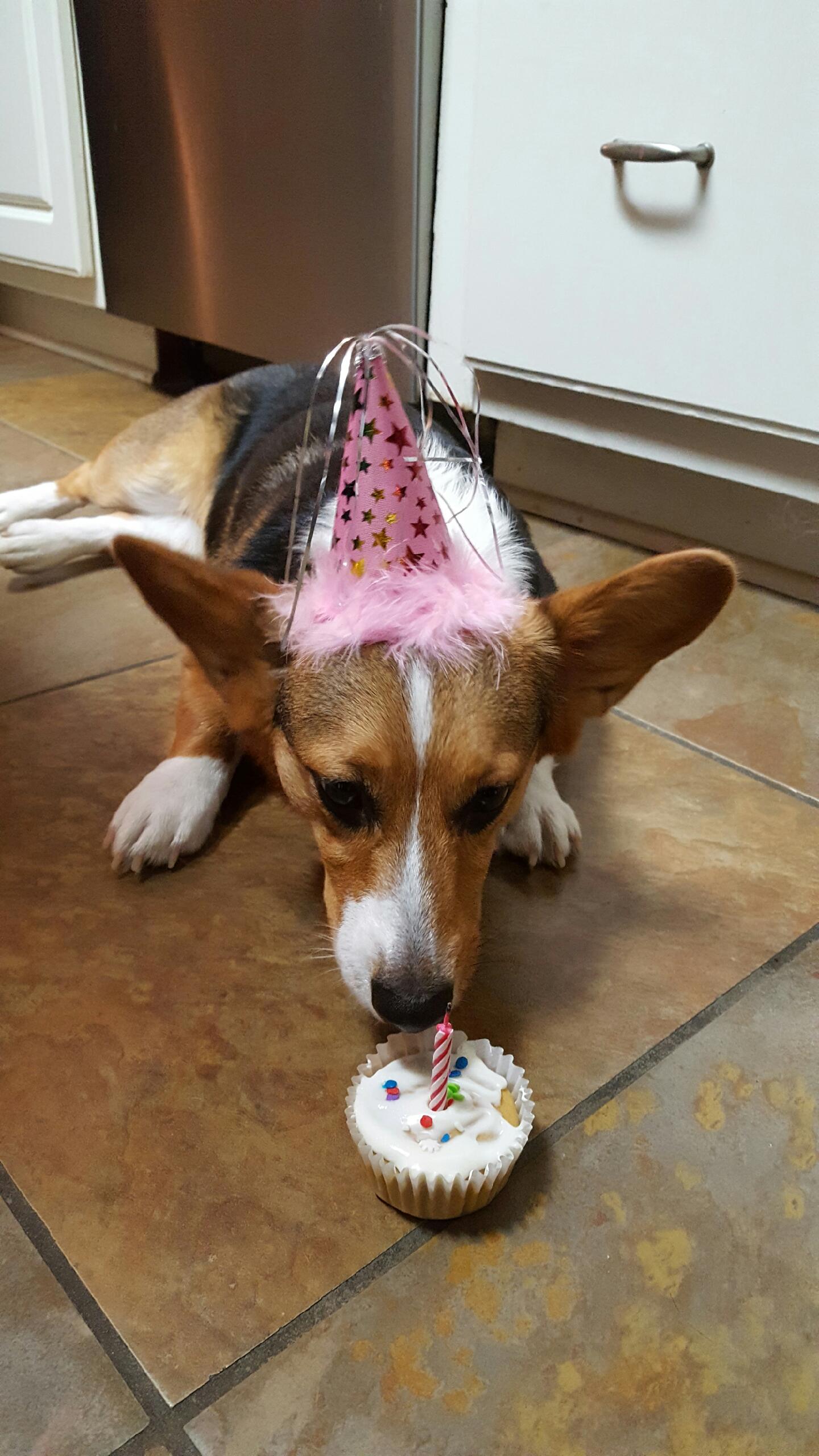 Martha's First Birthday