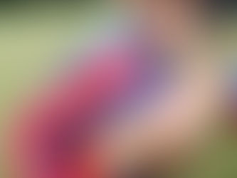 13 goals in a match - A new record !