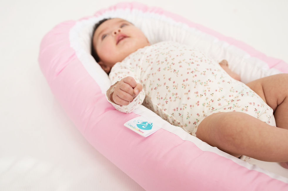 Miniatura: Rosa Básico