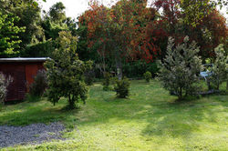 image5-2