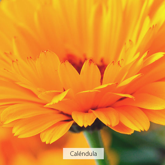 Miniatura: Naay - Factor Solar Kids FPS 50+