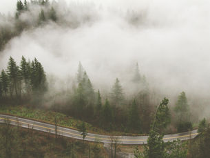 Why Lived Experience Matters to Me as a Therapist