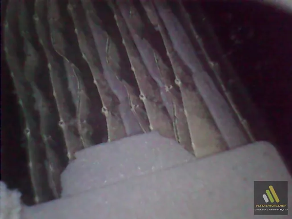 Snapshot000027.webp