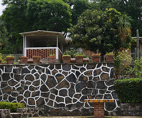 Casa Campestre en Nepantla, Edo. Méx.