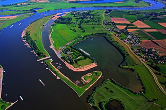 Biological Engineering for creating a bypass for the Rhine river