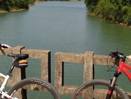 ESTAMOS JUNTOS! (Gregório e seus amigos - Parte 1)