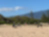 Corporate team doing beach clean up