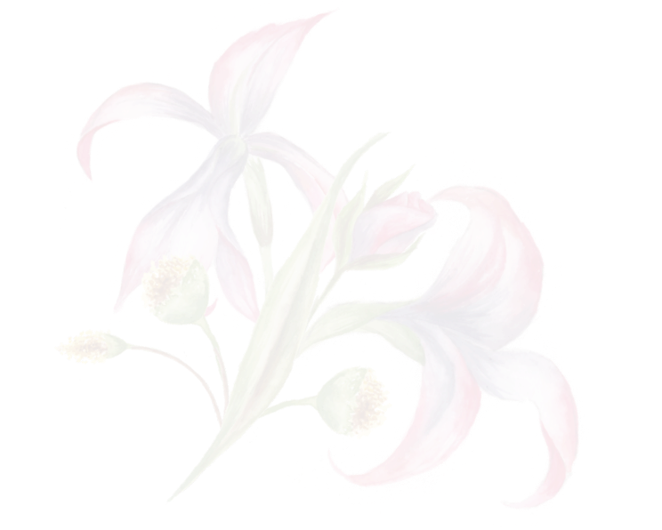 flor 1_edited_edited_edited.png