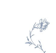 Flores azul 1.png