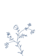 Flores azul 1.png
