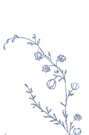 Flores azul 1.png