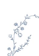 Flores azul 1_edited.png