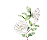 Flores_edited.png