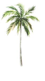 Coqueiros 2_edited_edited.png