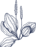 3186254.png